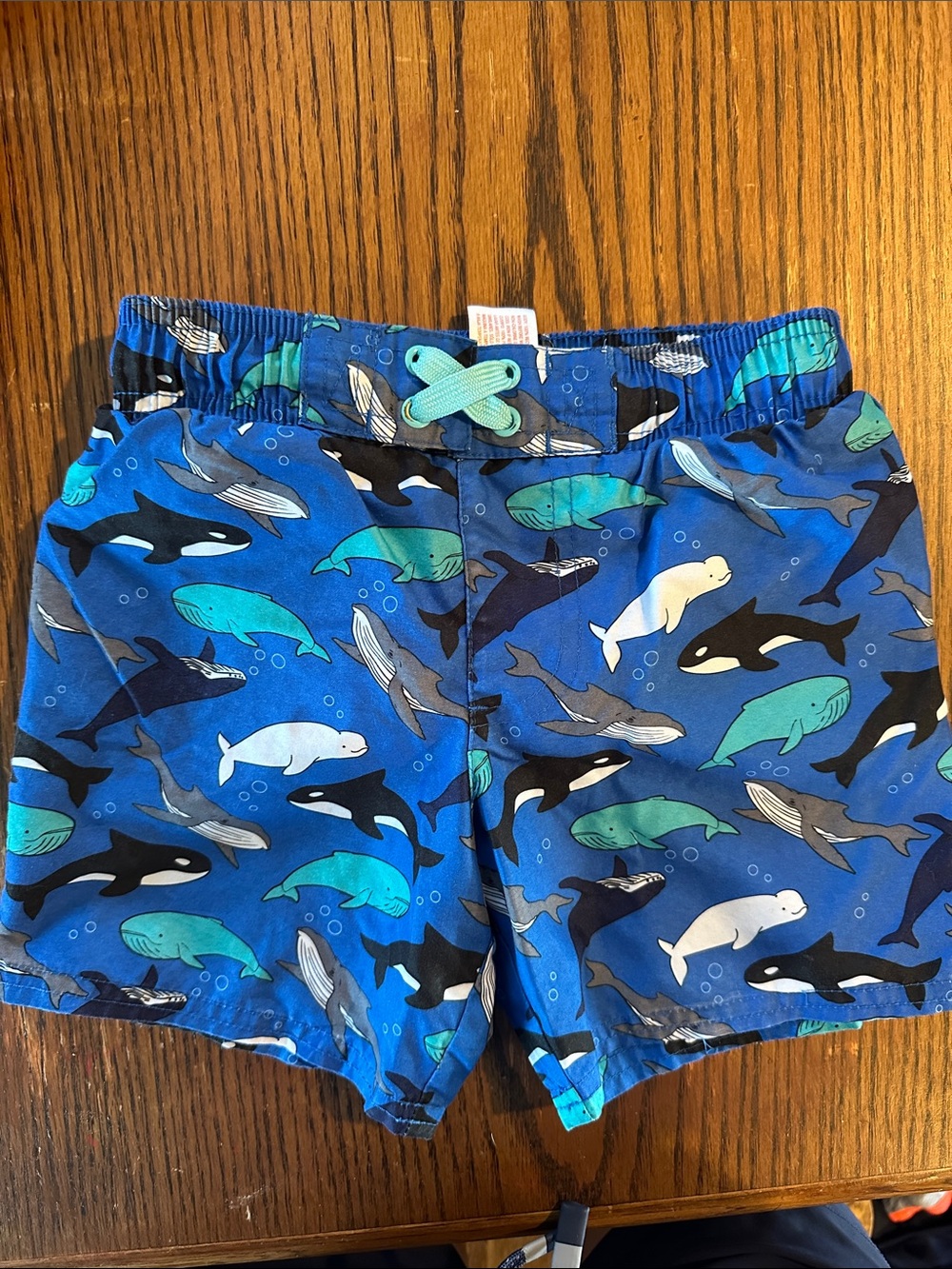 Cat & Jack Blue Whale and Orca Swim Trunks